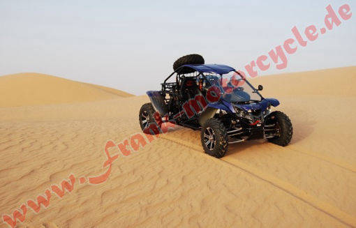 Fight Wolf 1100 4x4 Buggy