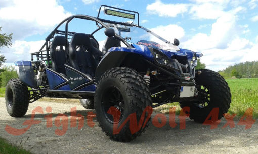 Fight Wolf 4 1500 4x4, 4-Sitzer Buggy